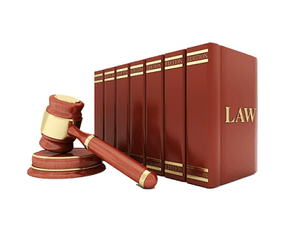 法律书籍网站设计指南 构建用户友好、内容权威的在线法律资源平台