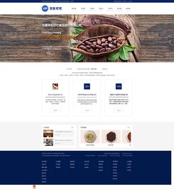 网页界面设计与网站设计 融合美学与功能的数字艺术
