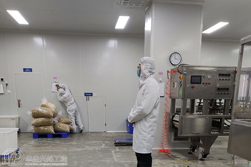 食品工厂设计中的混合流及其洁净室规划与网站设计集成